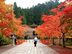 高野山へ紅葉を見に行ってきました。