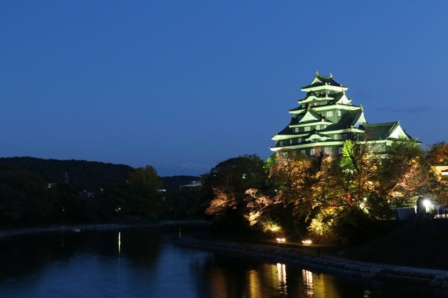 岡山後楽園の秋の幻想庭園に行ってきました。<br />今回は11月4日〜16日までの期間となっており、15日（土）が<br />天気もよかったので、行くことにしました。<br />昼の後楽園は行った事があったのですが、夜は初めて。<br />予想以上の美しさでしたが、写真がイマイチ。<br />やはり、三脚はしっかりしたものでないとだめですね〜。<br />ブレブレでガックシです。