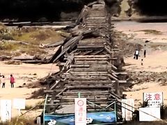 ２万歩歩いて 松花堂庭園～流れ橋へ