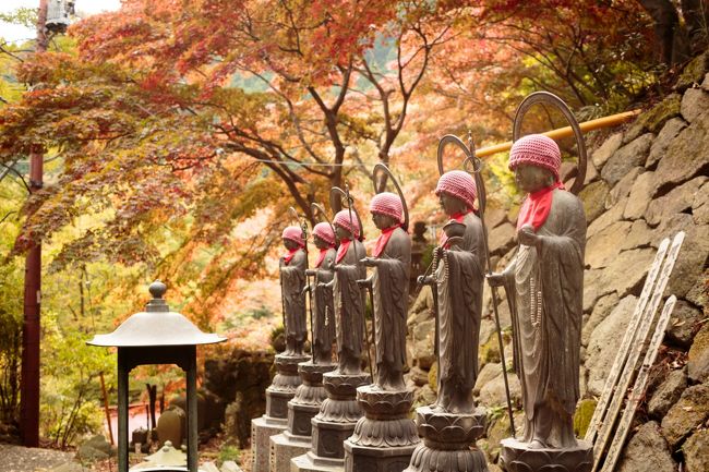 神奈川紅葉スポット大山阿夫利神社下社