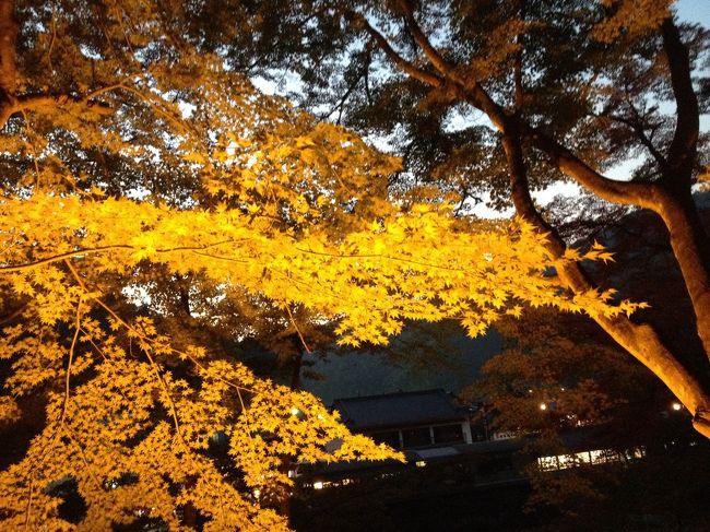 紅葉には少し早い秋の恵那峡、香嵐渓