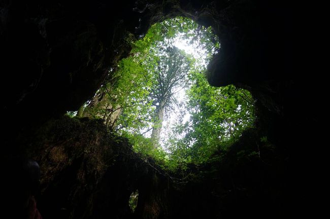 趣味の登山・ハイキングをかねて<br />いざ鹿児島・屋久島へ<br />世界遺産の縄文杉を見に<br />車で島１周、自然の宝庫！<br />都会の疲れを癒す旅