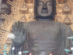 鹿が自由すぎる東大寺です