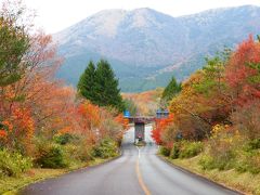 急に思い立って行った、熊本・大分 レンタカーでドライブ＆観光と紅葉狩り１泊２日の旅【紅葉見頃の《久住高原ロードパーク》復路ドライブ編】（２０１４年１１月）