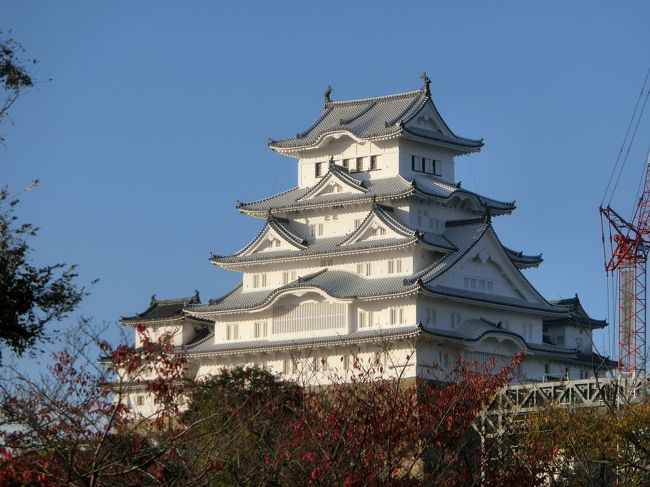 仕事の関係で姫路へ。<br />姫路と言えば世界遺産「姫路城」ですよね！と言うことで仕事前後に姫路城へ行ってきました。<br />仕事前は、姫路城まで朝ジョギング！！朝日を浴びていっそう白く輝く姫路城からたくさんのパワーをもらい、仕事後は、姫路城の真正面に位置する姫路駅のテラスみたいなスペースから夕日に照らされほのかにピンク色に染まる姫路城に癒され、充実した出張となりました（笑）<br /><br />別名「白鷺城（しらさぎ城・はくろ城）」であることは聞いたことがあったのですが、今回、白く輝く大天主を見て、そう呼ばれることに納得です！！<br />平成21年10月から始まった姫路城大天主保存修理工事（平成の大改修）は、約4か月後には完了し、来年3月26日リニューアルオープン予定とのこと。<br />平成の大改修が終わった姿も見てみたいです。