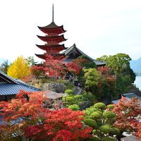 秋色の宮島　１泊２日の旅（５）～宮島の美味しいもの巡りと路地散歩