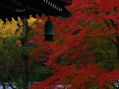 京都　紅葉めぐり～南禅寺、天授庵、無鄰菴