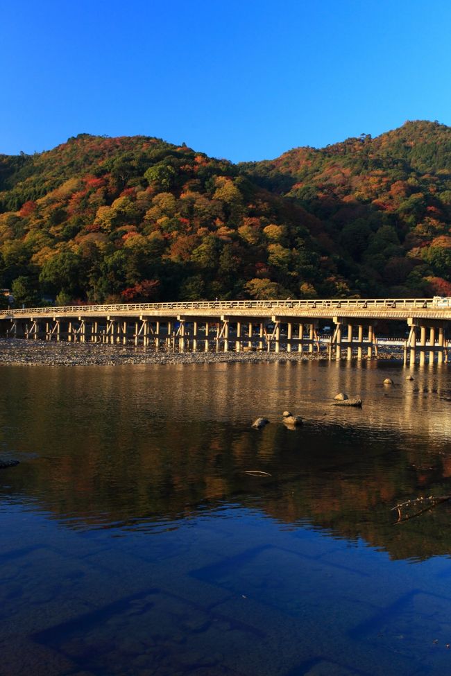 紅葉の京都へ。<br />まずは、嵐山から。<br /><br />1日目<br />天龍寺(てんりゅうじ)<br />宝筐院(ほうきょういん)<br />清凉寺(せいりょうじ)<br />檀林寺(だんりんじ)<br />滝口寺(たきぐちでら)<br /><br />金蔵寺(こんぞうじ)<br /><br /><br />2日目<br />南禅寺(なんぜんじ)<br />南禅寺 天授庵(てんじゅあん)<br />南禅寺/山門<br />無鄰菴(むりんあん)