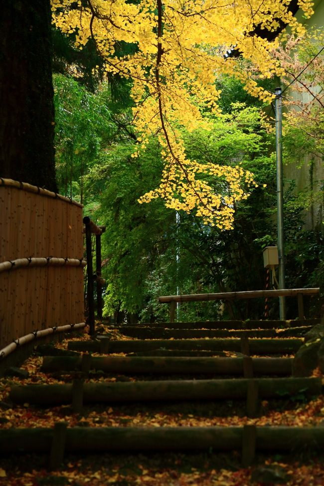 嵐山から移動して大原野の金蔵寺へ。