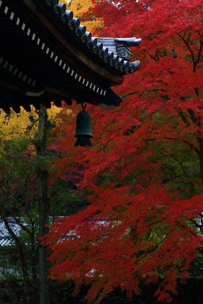 2日目は南禅寺へ。<br /><br /><br />南禅寺（なんぜんじ）<br />南禅寺　天授庵（てんじゅあん）<br />南禅寺/三門<br />無鄰菴（むりんあん）