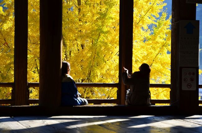 宮島の紅葉と厳島神社を見てみたくて、１泊２日で旅してきました。<br /><br />紅葉のハイシーズンなので混雑は覚悟の上でしたが、想像以上の人出で、帰るころはもうヘトヘトに。でも、さすがに紅葉はとても綺麗でした。疲れたけれど、やはりこの時期に行ってよかった！<br /><br />旅行前の情報収集では、宮島観光アドバイザーのともちんさんのブログがとても役立ちました。ともちんさんは宮島の宿「錦水館」の若旦那だそうです。地元を知り尽くした方のブログはお役立ち情報満載。これから宮島へ行かれる方は、ぜひチェックされることをおすすめします。<br /><br />◇宮島観光アドバイザー　ともちんさんのブログ<br />http://www.kinsui-villa.jp/press/