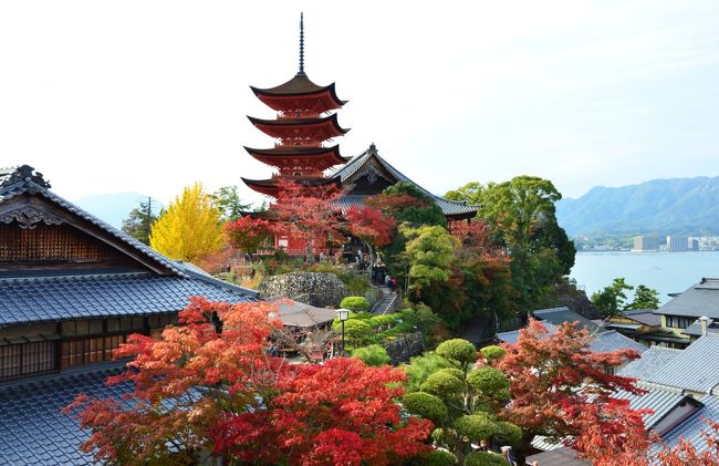 旅行前の情報収集で、宮島では去年から今年にかけて、食事処やカフェなど新しいお店が次々にオープンしていることがわかりました。１年を通してこれだけたくさんの観光客が訪れるのだから、そりゃ、お店も増えるよな。<br /><br />老舗も気になるけれど、今回は冒険してニューオープンのお店のほうを中心にいくつかへ行ってみることにしました。