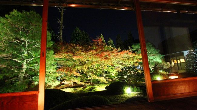 京の都・東山の奥座敷である、御寺泉涌寺の別格本山「雲龍院」でライトアップが始まりましたね。<br />これから、京都行かれる方の為に、ライトアップをどこにしようか迷われている方の為に、参考になればと旅記先行ＵＰかけますね。<br /><br />静かな泉涌寺の山間に包まれた、心を洗われる様な空間を求めるなら、ここしかないと決めて初日の夜参りました。<br /><br />天邪鬼はこの時期京へ上がらしてもらうのは、昔の仏閣巡りと違い、花・旧七夕会がメインでございます。<br />しかし、それは・それ。。。<br />やっぱ、都へ上がれば手を合わせたい、拝顔したい御庭と云うものがございます。<br />そんでもって、昼間華展会場で淑女に混ざり込み、フラフラになるも、宿で体力チャージして日が落ちるのを待ち、心と体を癒しに参りました。<br />別の想いも心に秘めて、御報告と感謝の気持ちを込めて手を合わせに参りました。<br /><br />久方ぶりに参りましたが、御客様に若い方が多くなったなぁ〜<br />と云う印象でした。<br /><br />雲龍院さんの御庭も、紅葉のライトアップだけでなく、御寺別格本山らしい、菊に拘られたと砂紋もライトアップされて、その光と影が織成す幻想的な世界を深めてもらえました。<br /><br />見どころは、拝観時にポイントマップいただけますが、どこも問答するがごとく、じっくりと拝見できるのが素敵ですよ。<br /><br />紅葉情報<br />11月15日の撮影となります。<br />紅葉は３分過ぎの色目かなと思いました。<br />雲龍院の奥様情報では、「２０日位から本格的な色付き」を予想されておりました。<br />今週末位からは見頃を迎えると思われます。<br /><br />アクセス・レクチャー<br />車で行かれる方は、何ら問題ありません。<br />逆に東山界隈から離れているので、本山御門前駐車場は広く、素敵なデートスポットかな？<br />そこで問題なのが、車無い人です。<br />天さんもそうです。<br />大した事ではありませんが、泉涌寺の参道は一山上る感じとなるので、大変です。<br />天さんの場合は、東山の宿発だったので、混雑の祇園あたりを一日乗車券で路線バスにて「東山七条」国立博物館近くまで出て、そこからタクシーでワンメーターかな？600円くらいでした。<br />坂道上るのはキツイから、おすすめです。<br /><br />公式ＨＰ　http://www.unryuin.jp/sub05_accese.html<br />最盛期のフォト入ってるので参考に付けときます。<br />http://taiken.onozomi.com/2014aun/