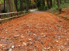 交野山と大阪府民の森　（くろんど園地・ほしだ園地）