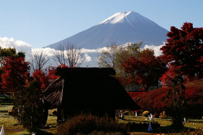 御坂黒岳に行く前に河口湖の紅葉祭りを覗いてみました。11/10の時点では、色づきは今一歩という感じ中旬以降なら美しいもみじ回廊などに会えると思います。紅葉祭りの後は、天下茶屋から御坂黒岳へ、当日は天気もよく展望台でラーメンを作ってのんびり過ごすことができました。山から下りたら当然温泉です。今回は紅富士の湯を利用しました。天候にも恵まれ、かなり充実した1日でした。<br /><br />なお、紅葉祭りの詳細は下記のURLに記載があります。<br />http://www.fujisan.ne.jp/event/info.php?if_id=680&amp;ca_id=3