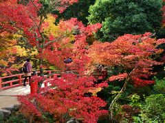 秋色の宮島　１泊２日の旅（４）～２日目　〈朝の紅葉谷公園＊ロープウェーと徒歩で弥山展望台へ〉