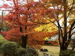 旅するイルカ♪　紅葉狩り　和歌山　杉村公園へ