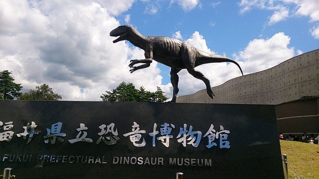 9月の3連休、北陸乗り放題切符を使って友人と福井、石川、富山の博物館・美術館めぐりの旅をしてきました。土曜日は友人が午前中仕事だったので、午後大阪発のサンダーバードに乗って福井まで行き、駅レンタカーを借りて越前大野で1泊、翌日は恐竜博物館、永平寺を観た後金沢へ、翌日は夕方まで友人と別行動で私は21世紀美術館、兼六園を見学。その後合流して富山に行きお寿司を食べてから富山の現代美術館を見学して帰ってきました。