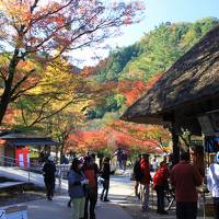 愛知の紅葉と歴史を巡る旅（11月15日）