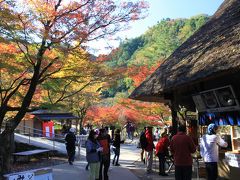 愛知の紅葉と歴史を巡る旅（11月15日）