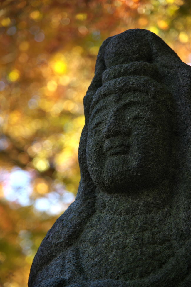 元気で太ってたころの死んだばあさんによく似てるんですよ。<br /><br />ほかにもよく見て回ると、あの人にも似てるって(笑)<br /><br />半日でしたが、今回も楽しい散歩でした♪