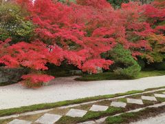 南禅寺の山門の紅葉がもう少しなので近くの≪天授庵≫へ・・・・綺麗な紅葉でした