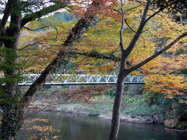 　シルバーカレッジの同期会で御岳山に行きました。年寄りばかりでしかも半数が女性なので、御岳山登山組と御岳渓谷散策組とに別れます。<br />両組の集合場所は午後１時、御岳渓谷ママゴトヤです。<br />私は登山組に参加して出発です。　それでは行ってきます。