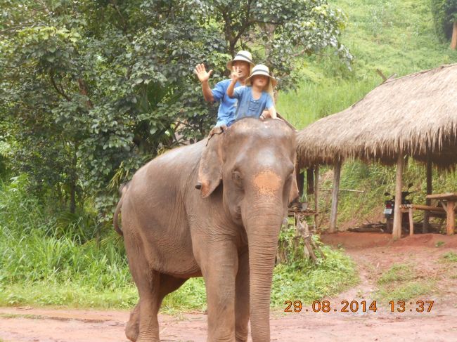 前回、前々回の男旅で完全に象にハマッてしまった父ちゃん<br /><br />今回の男旅のメインテーマは、象の村で象使いになる！　です<br /><br />チェンマイハッピーツアーさんでお世話になりました<br />http://chiangmaihappytour.com/