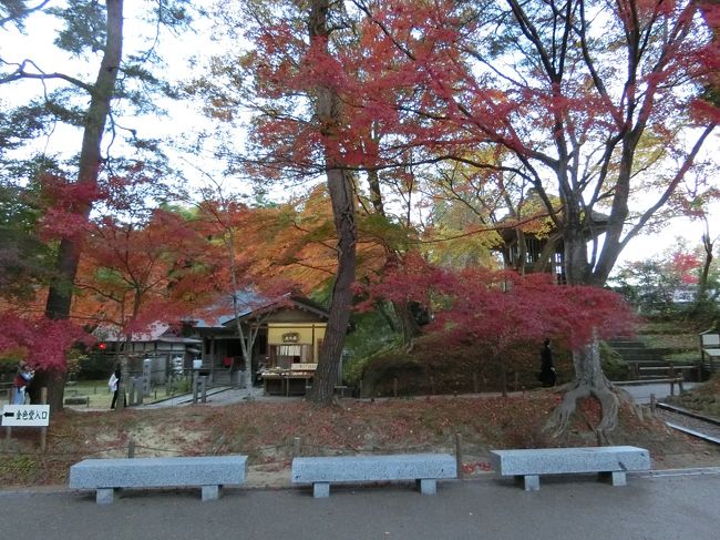 １泊新幹線+バスツアーで紅葉観光（中尊寺編）#3<br /><br />中尊寺は今回のツアーでは、私にとってはおまけでした。<br />記憶にないので行ったことは無かったと思います。<br />義経伝説の藤原３代の栄華の金色堂をぜひ見たかったので、<br />オプションの入場料800円（実際は団体件で1割ほど安くなりました）<br />で入場しました。<br />写真撮影だめ、中はいわゆる金色堂があるだけで、良く見えないし、<br />大勢押し掛けるので5分と見ておれないし、価値の分からない私にはみる価値はありませんでした。<br /><br />もらった地図を頼りに全ての堂を道に従ってみてまいりましたが、<br />それじゃそれでよかったです。<br />紅葉もきれいでした。<br /><br />残念なのは、弁慶餅がタイムオーバーで店が閉まっており食べれなかったことです。