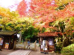 ３年ぶりのクラス会と、天気にも恵まれ熟年夫婦の紅葉を求めて千年の古都を辿る旅♪ その１