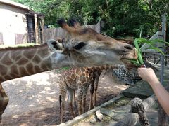 タイ好き母娘の休暇　その３のメインはカオキアオ動物園