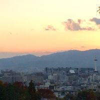 冬の京都に「茶の湯」の歴史をたずねる 2014年11月