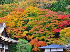 2014紅葉（4）紅葉の名所・湖東三山の一つ　百済寺