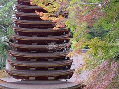 家族で行く談山神社☆１１月５日時点では、まだ緑でした～！今は見頃かな♪