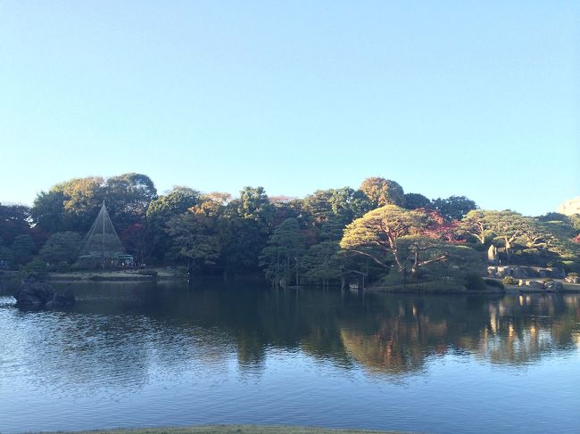 JR駒込駅南口から徒歩約5分、<br />アクセス良しの都内の紅葉スポット「六義園」へ行ってきました！<br />2014年はいよいよ明日、11月20日〜12月7日まで夜間ライトアップも行われます。<br /><br />さて、紅葉の具合はいかがなものでしょう？<br /><br />【かかった費用】<br />入園料　300円<br />※旧古川庭園とセットなら400円でOK<br />お抹茶　510円<br /><br /><br />※アップが日を跨いだので投稿日は11/20ですが訪問日･タイトルは11/19をベースにしております！笑