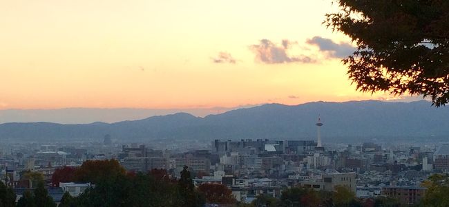 京都の醍醐寺でお茶会がありました<br />前泊して、久しぶりの冬の京都の「茶の湯」関係の展示と紅葉を楽しんで来ました