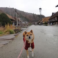 ワンコと旅行♪小雨の大内宿散策から那須高原の イマジン・ドッグス宿泊へ