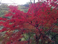 ゆったり登山と紅葉(^^)