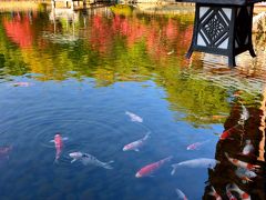 2014・紅葉彩る山陽道（広島県）をぶらりと巡る旅【１】～広島の空の玄関口に隣り合う日本庭園・三景園へ～