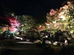 ２０１４秋はやっぱり京都でしょっ！　その５　ライトアップの高台寺～圓徳院