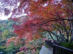 山が燃える～♪小豆島・寒霞渓の紅葉