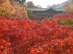 紅葉を見にチョット京都まで【清水寺・東福寺編】♪初京都は最高に綺麗でした！