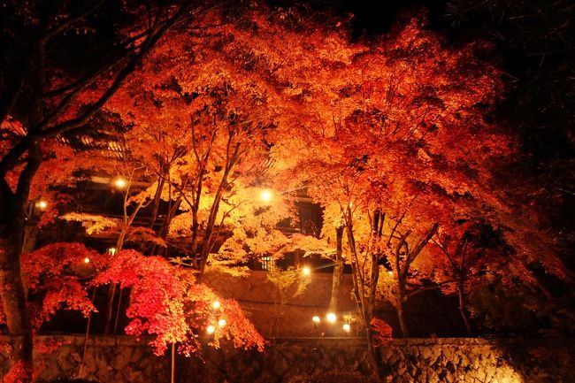 紅葉ライトアップ 播州清水寺 多可 西脇 加東 兵庫県 の旅行記 ブログ By Kokiaさん フォートラベル 紅葉ライトアップ 播州清水寺 多可 西脇 加東 兵庫県 の旅行記 ブログ By Kokiaさん フォートラベル