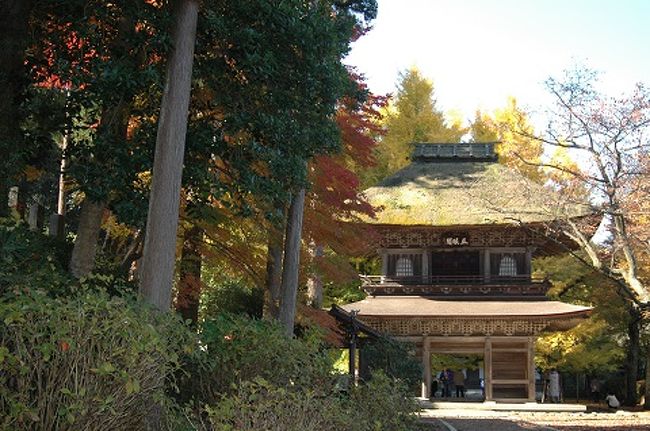 多摩川の支流の中でも最大といわれる秋川は豊かな清流で「秋川渓谷」と呼んでいます。<br />新緑、紅葉など四季折々に表情を変える景色は見ごたえたっぷりです。<br />市内に銀杏の樹木がある事で有名なお寺です<br />