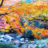 「ベンガラ吹屋と紅葉の名勝・赤い豪渓」