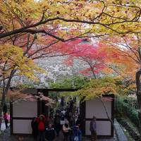 紅葉を見にチョット京都まで【嵐山編】♪初京都は最高に綺麗でした！