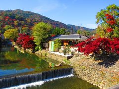 ポカポカ陽気の中をチャリで走る、チョットだけ紅葉あり