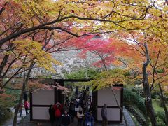 紅葉を見にチョット京都まで【嵐山編】♪初京都は最高に綺麗でした！