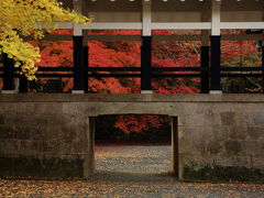 2014・11京都の紅葉を見に行こう　②