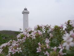 ベストシーズンに行く沖縄離島4島巡り　Part2